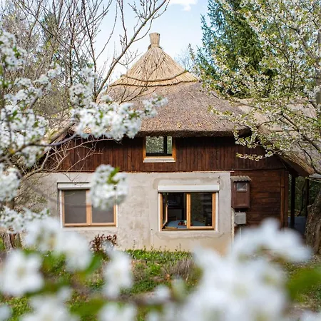 Rustic&green For 6 People Free Airconditioner Free Coffee Free Parking Balatonkenese